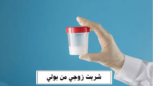 جلب الحبيب شربت زوجي من بولي بغرض سحر الطاعة